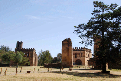 Gonder
